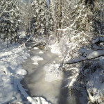 Spruces-Updated