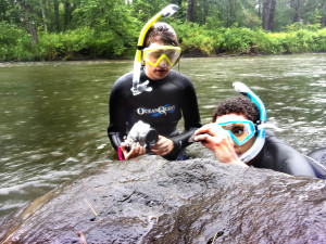 The underwater team discovers a mussel bed.