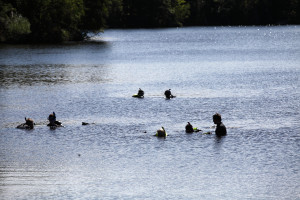 The buddy system in action as the team prepares to explore the St. Croix River near the Gordon Dam.