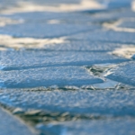 ice floes