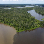 Runoff enters the Appomattox River, a major tributary of the James River, which flows into southern Chesapeake Bay in Virginia.