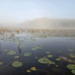 Hay Lake