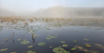 Hay Lake