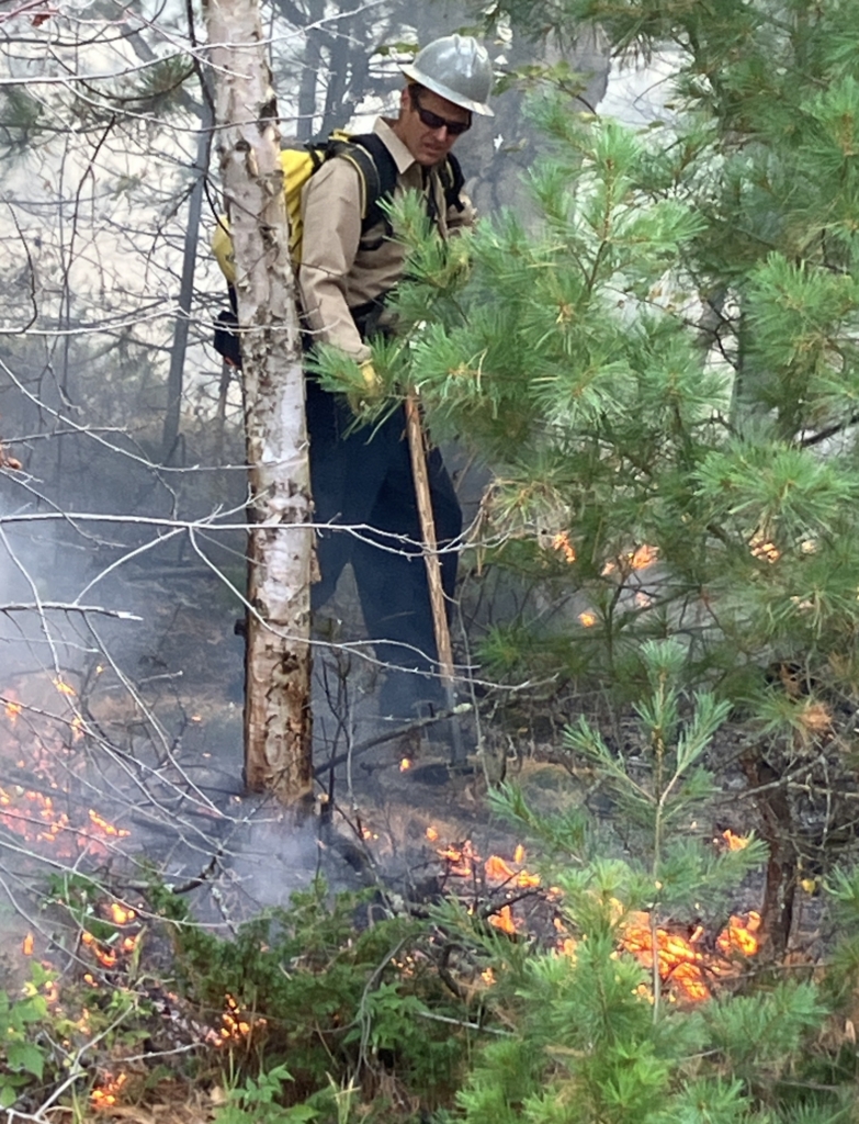 A firefighter snuffs a fire at the base of a birch.