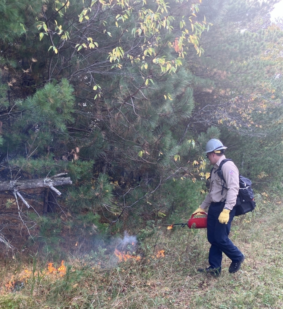 A worker uses a drip torch to light grasses on the edge of the fire.
